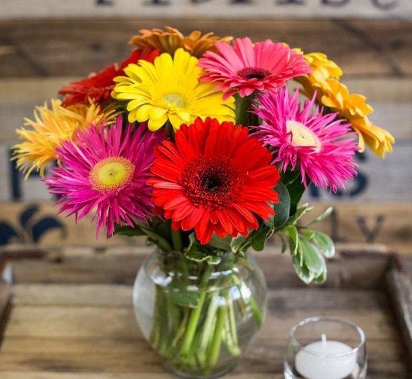 Hoa Dong Tien Trang Tri De Ban